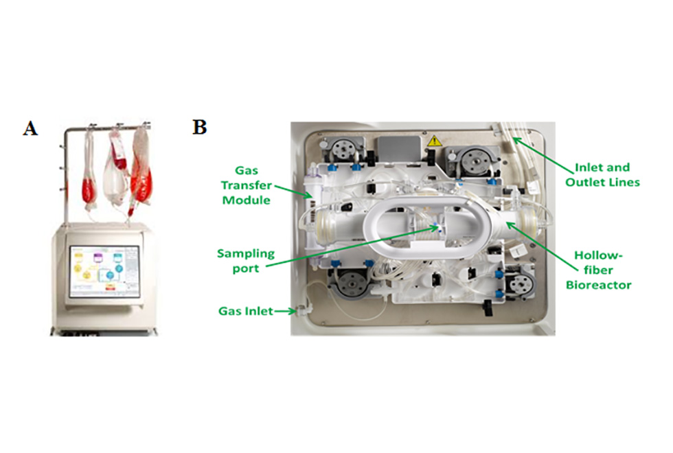 CELLS-Figure10